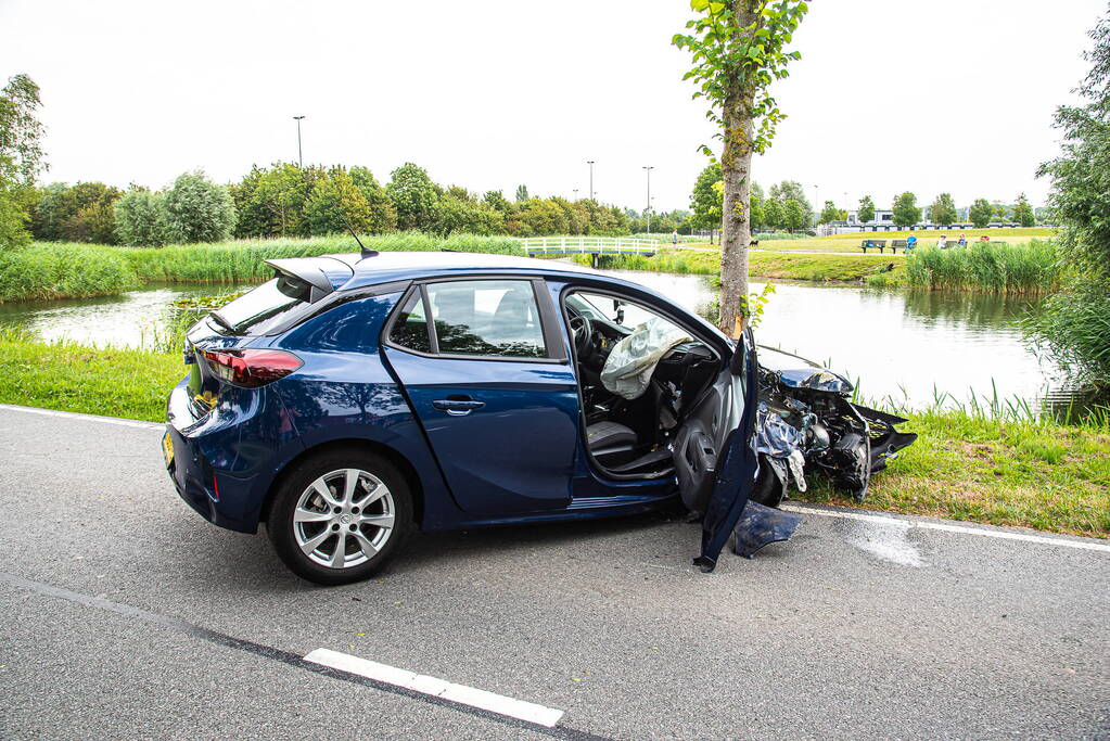 Gewonde nadat dronken persoon tegen boom rijdt