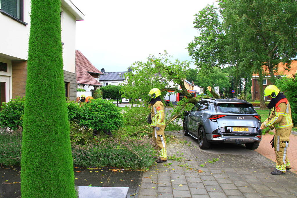 Boom valt bovenop geparkeerde auto