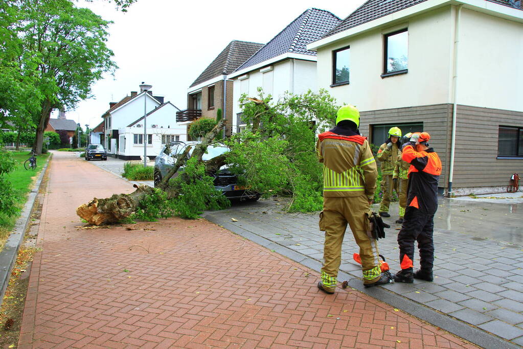 Boom valt bovenop geparkeerde auto