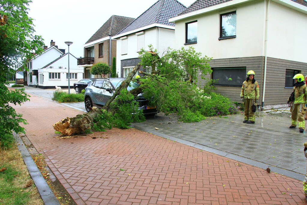 Boom valt bovenop geparkeerde auto