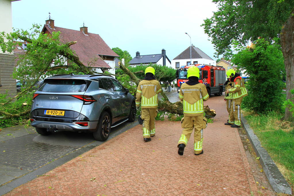 Boom valt bovenop geparkeerde auto