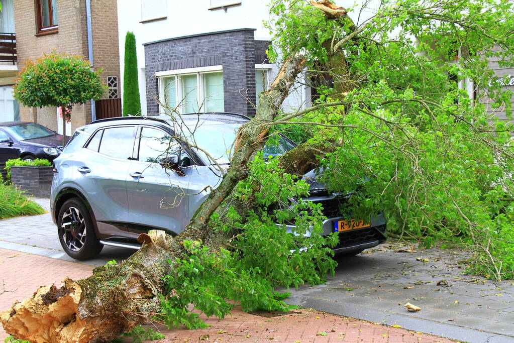 Boom valt bovenop geparkeerde auto