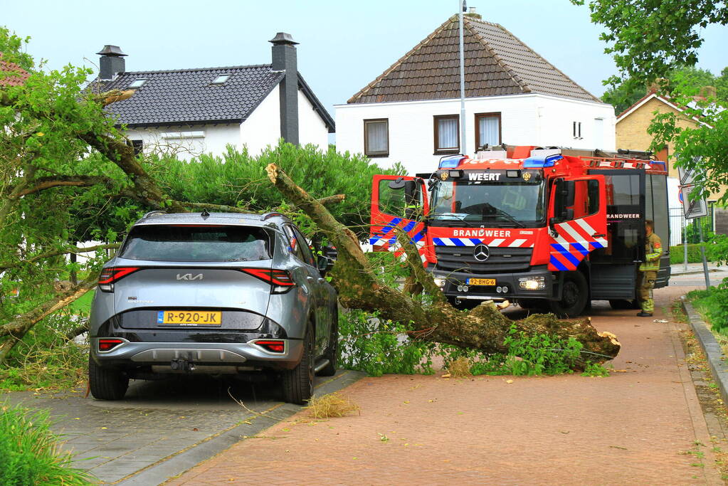 Boom valt bovenop geparkeerde auto