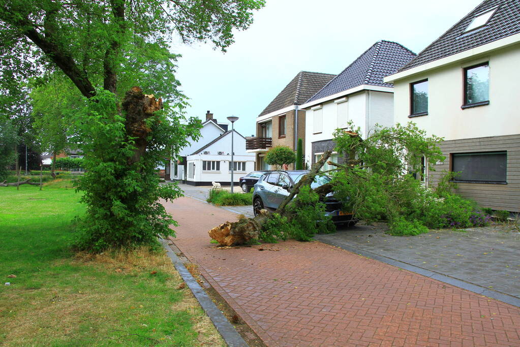 Boom valt bovenop geparkeerde auto