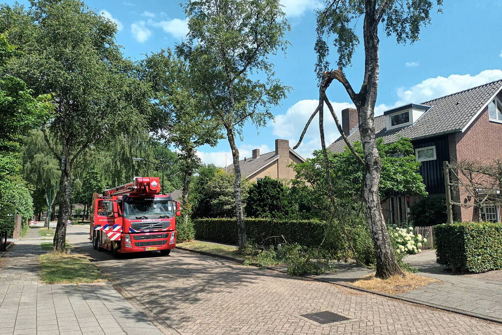 Brandweer verwijdert gescheurde tak