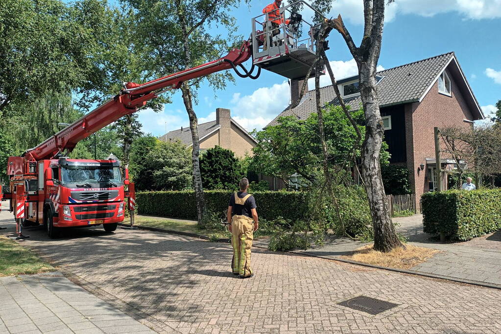 Brandweer verwijdert gescheurde tak