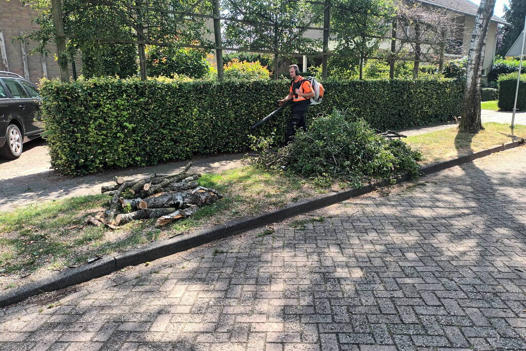 Brandweer verwijdert gescheurde tak