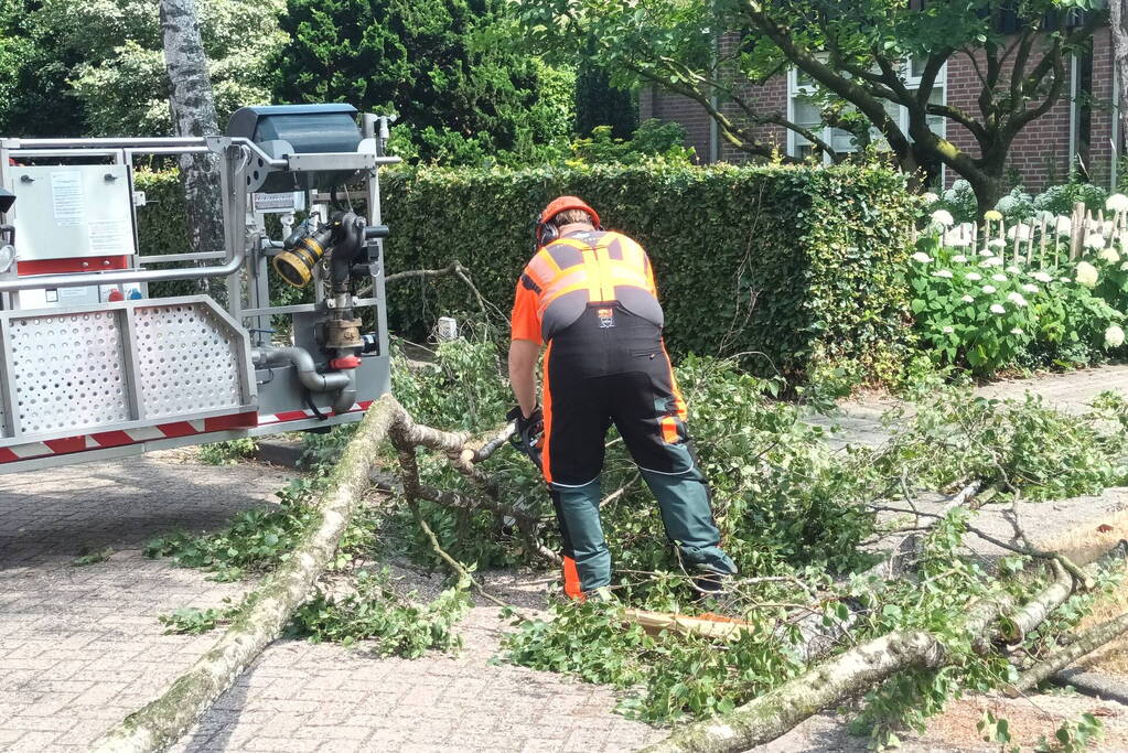 Brandweer verwijdert gescheurde tak