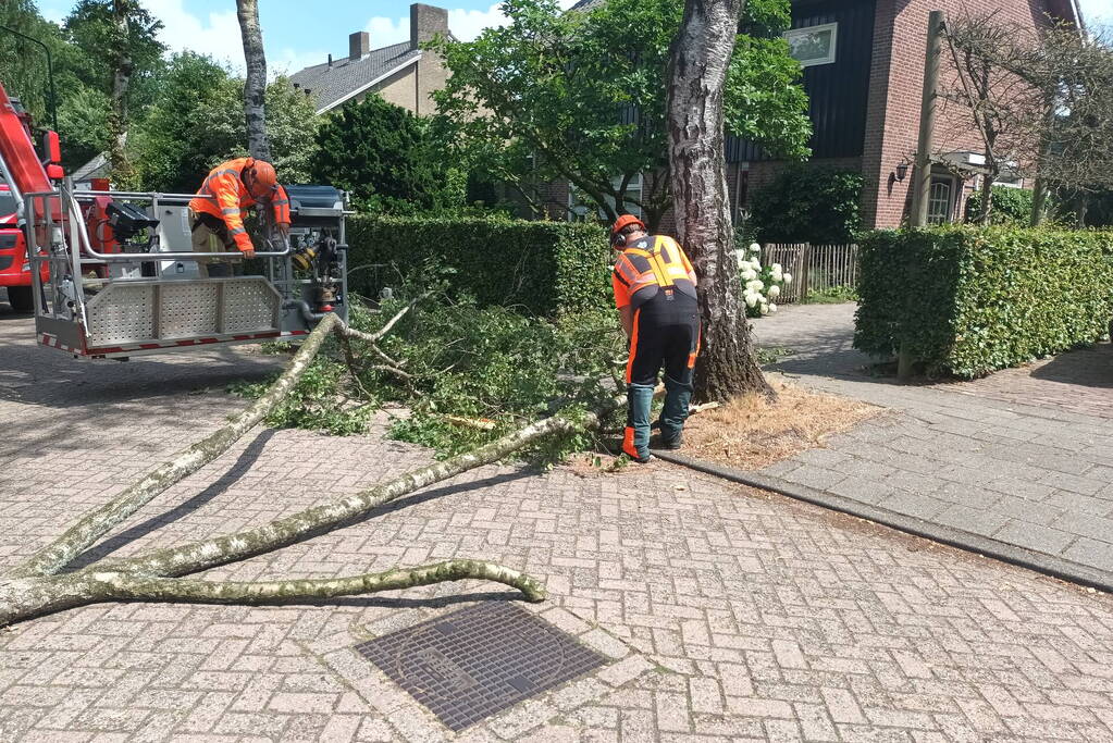 Brandweer verwijdert gescheurde tak