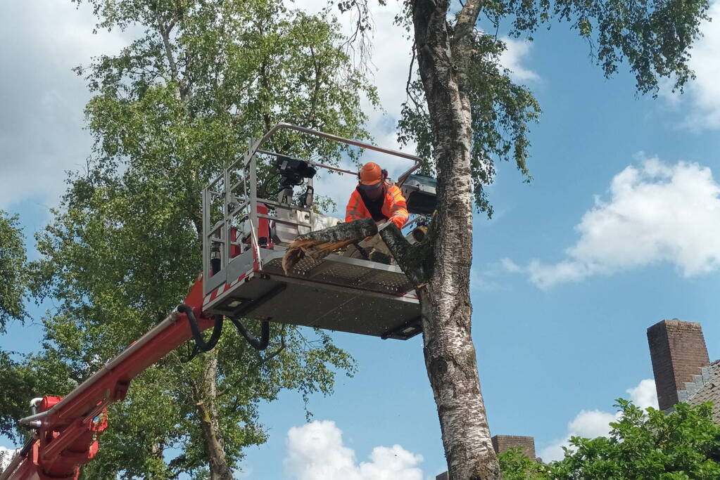 Brandweer verwijdert gescheurde tak