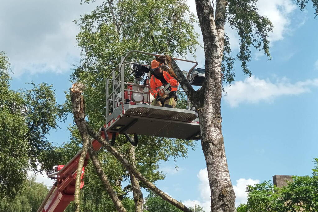 Brandweer verwijdert gescheurde tak