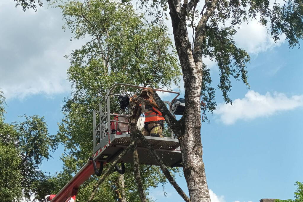 Brandweer verwijdert gescheurde tak