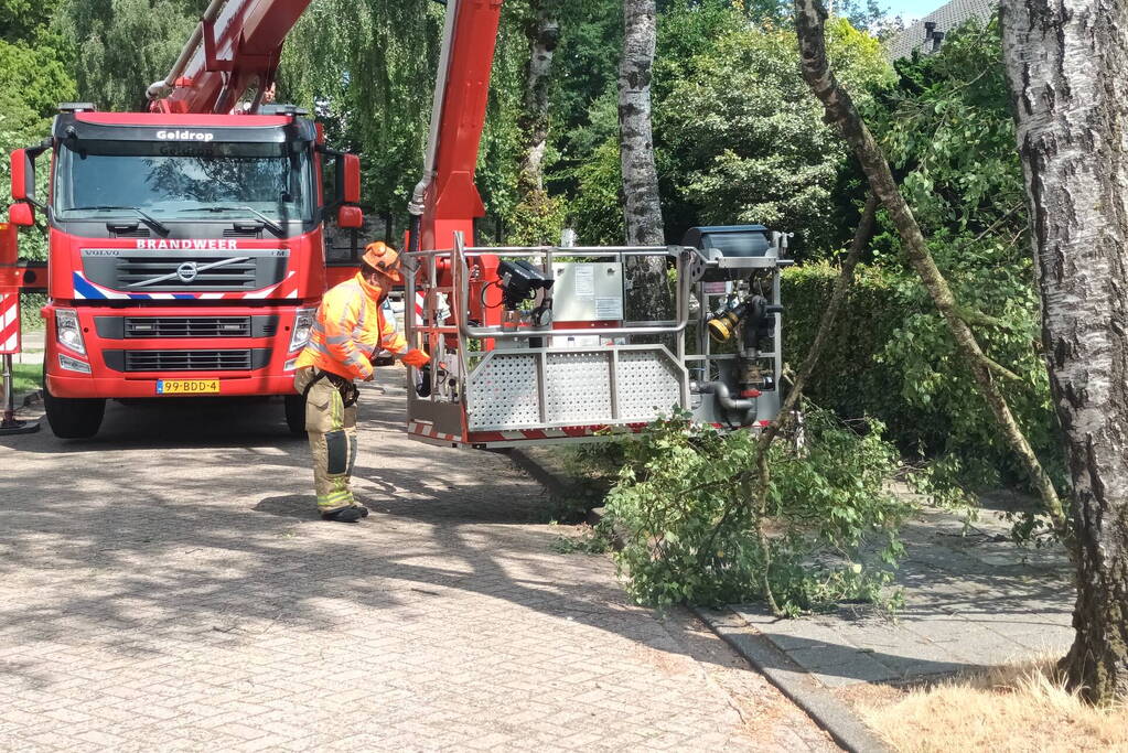 Brandweer verwijdert gescheurde tak