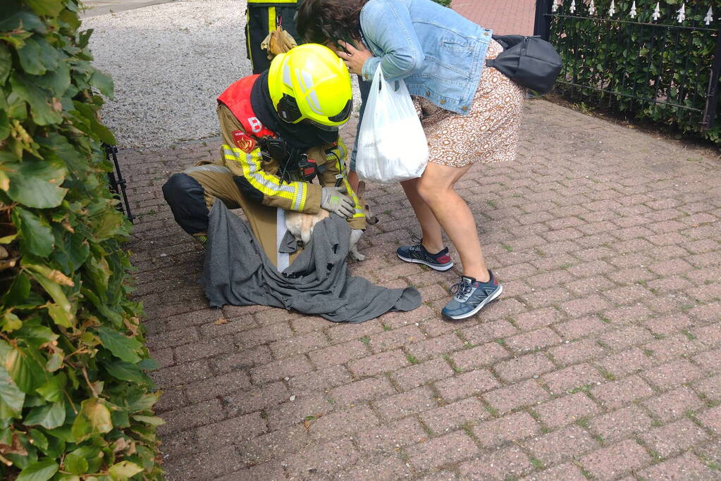 Brand slaat over na zorgboerderij