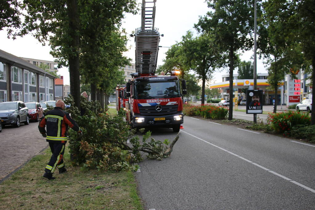 Brandweer verwijdert meerdere loshangende takken