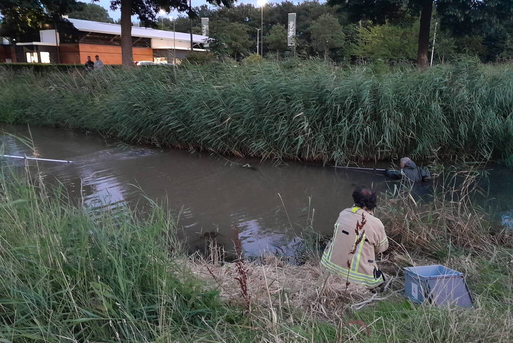 Brandweer probeert kuikens in problemen te redden