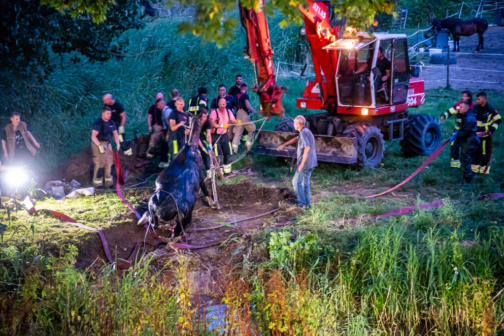 Brandweer uren bezig met paard in sloot