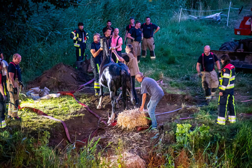 Brandweer uren bezig met paard in sloot