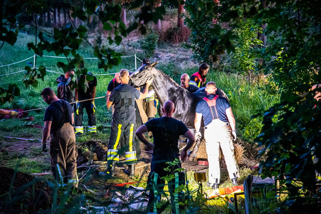 Brandweer uren bezig met paard in sloot