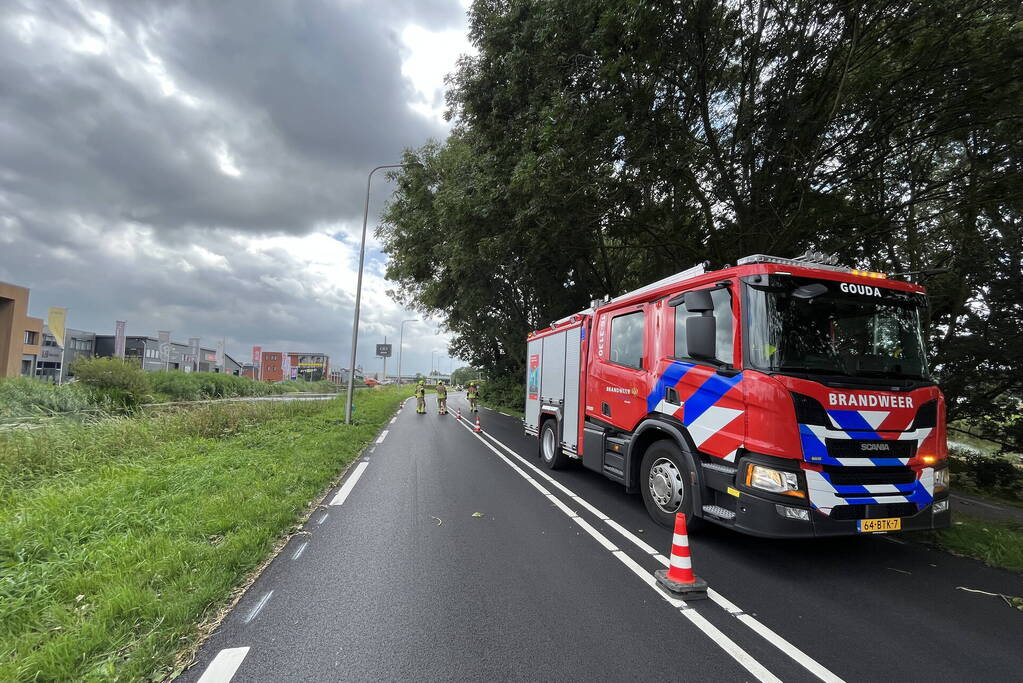 Grote tak dreigt op weg te vallen