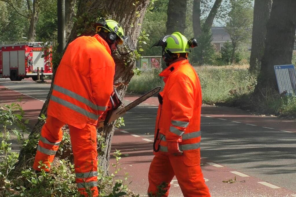 Boom weggezaagd na omvallen