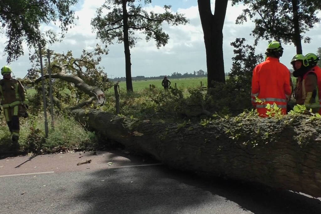 Boom weggezaagd na omvallen