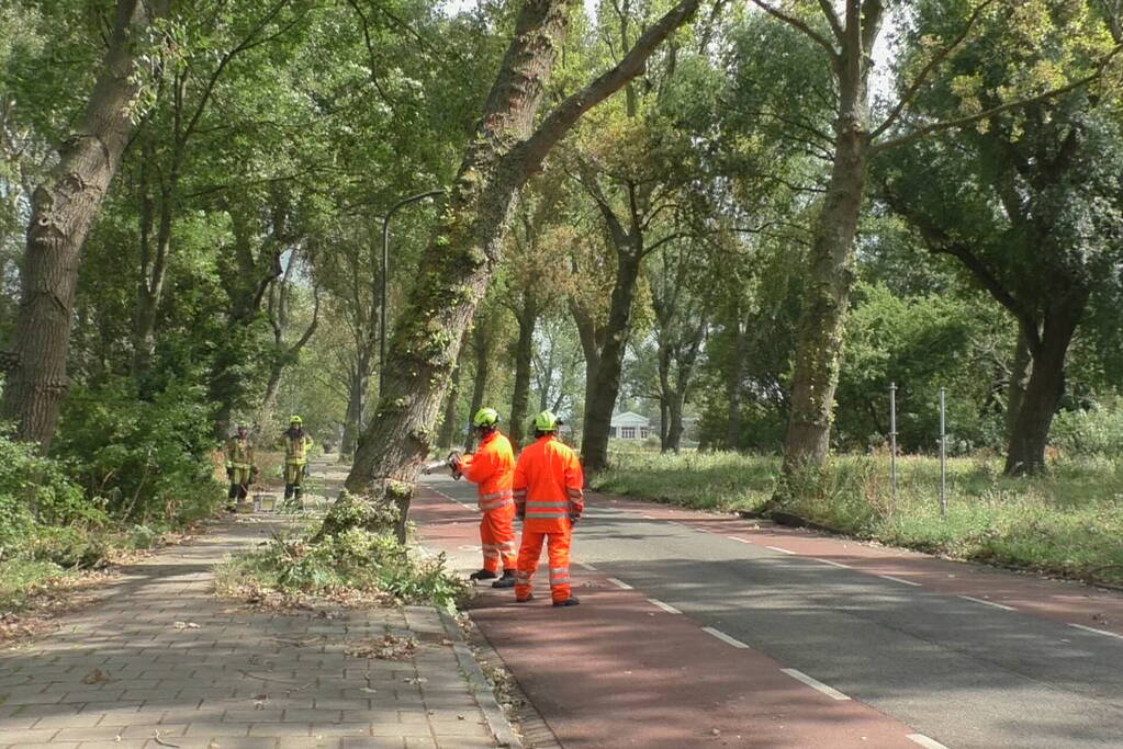 Boom weggezaagd na omvallen