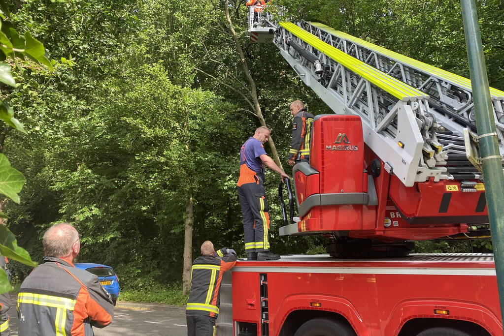 Boom dreigt op auto te vallen