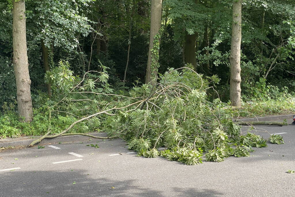 Boom dreigt op auto te vallen