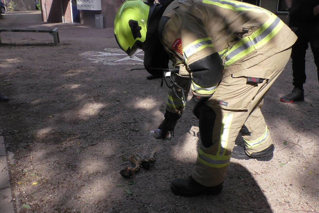 Jongeren steken schommel in brand