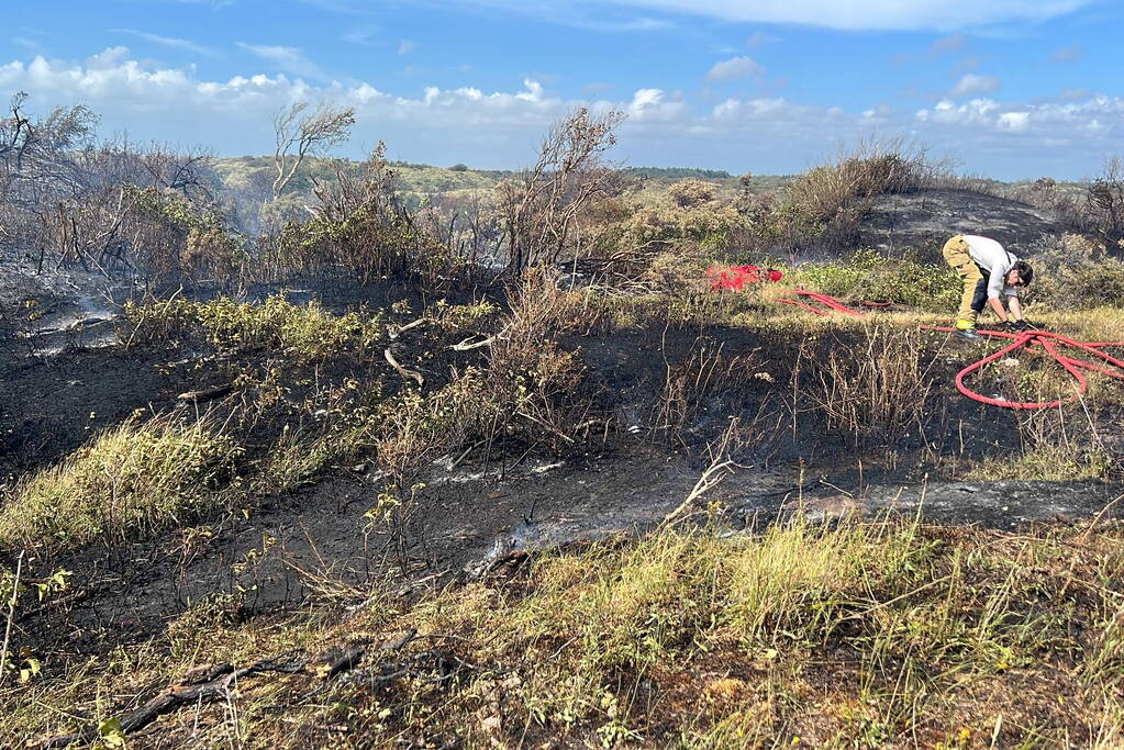 Weer natuurgebied in brand