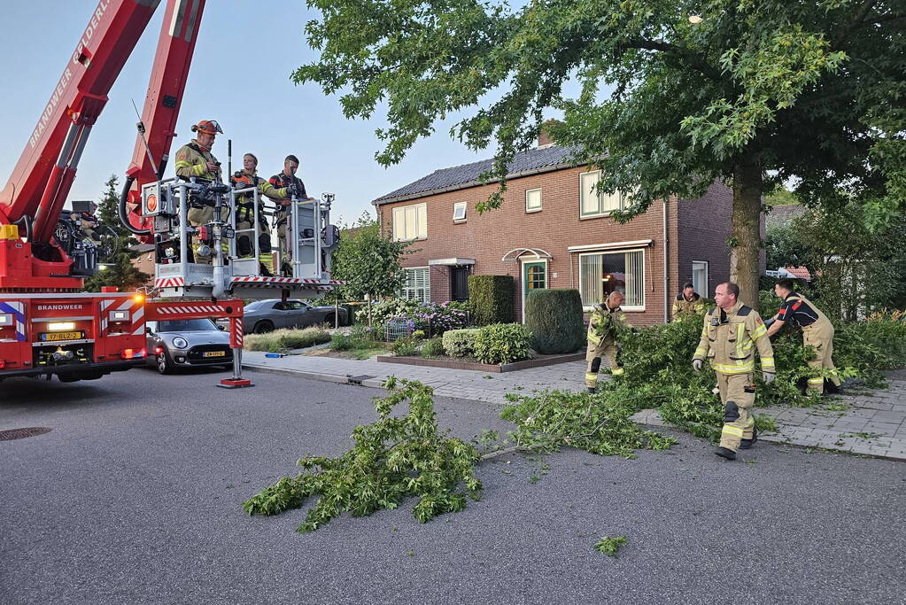 Gevaarlijk hangende tak dreigt te vallen