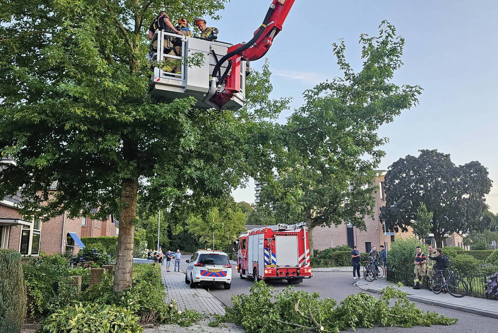 Gevaarlijk hangende tak dreigt te vallen