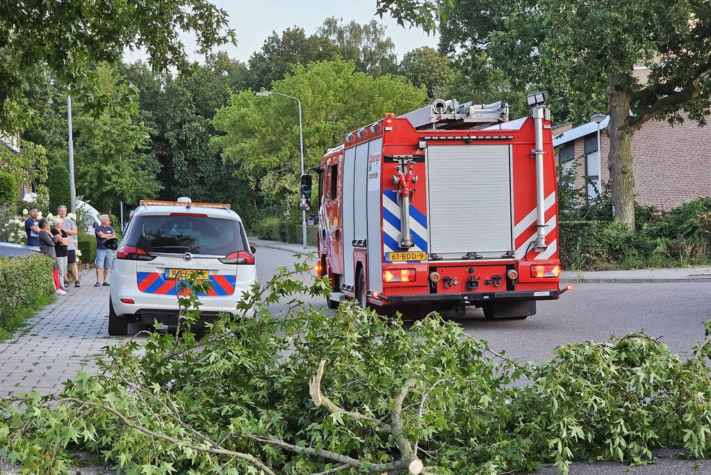 Gevaarlijk hangende tak dreigt te vallen