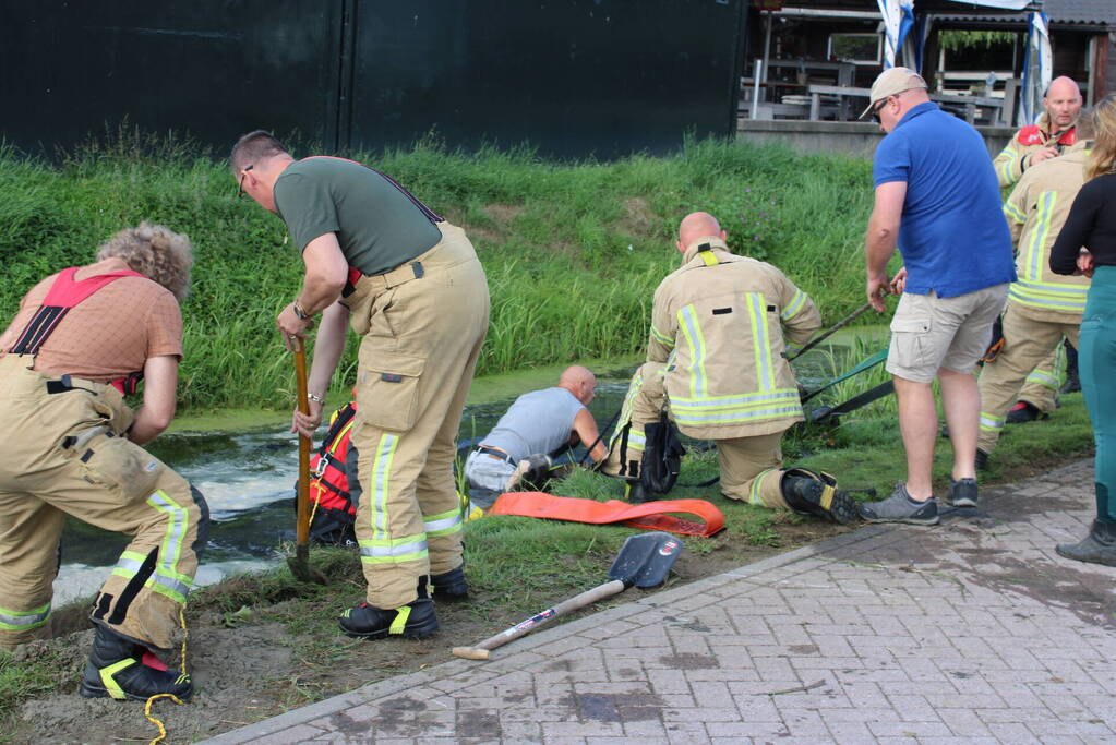 Brandweer redt paard uit sloot