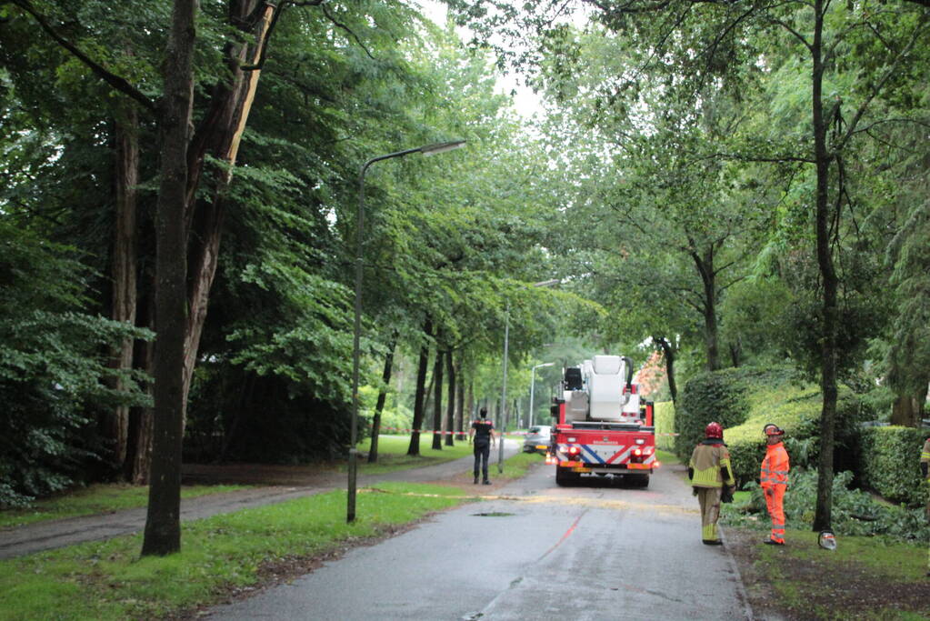 Loshangende tak zorgt voor gevaarlijke situatie