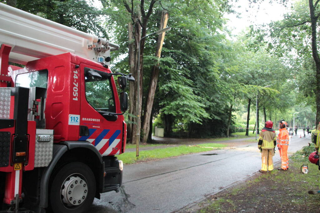 Loshangende tak zorgt voor gevaarlijke situatie