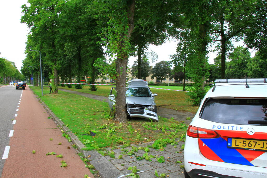 Auto botst frontaal tegen boom, bestuurder spoorloos