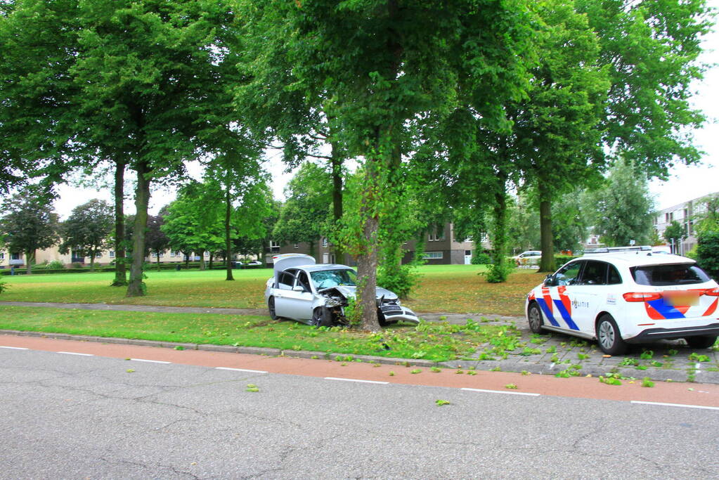 Auto botst frontaal tegen boom, bestuurder spoorloos