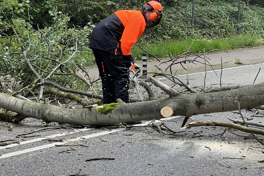 Omgevallen boom blokkeert de weg