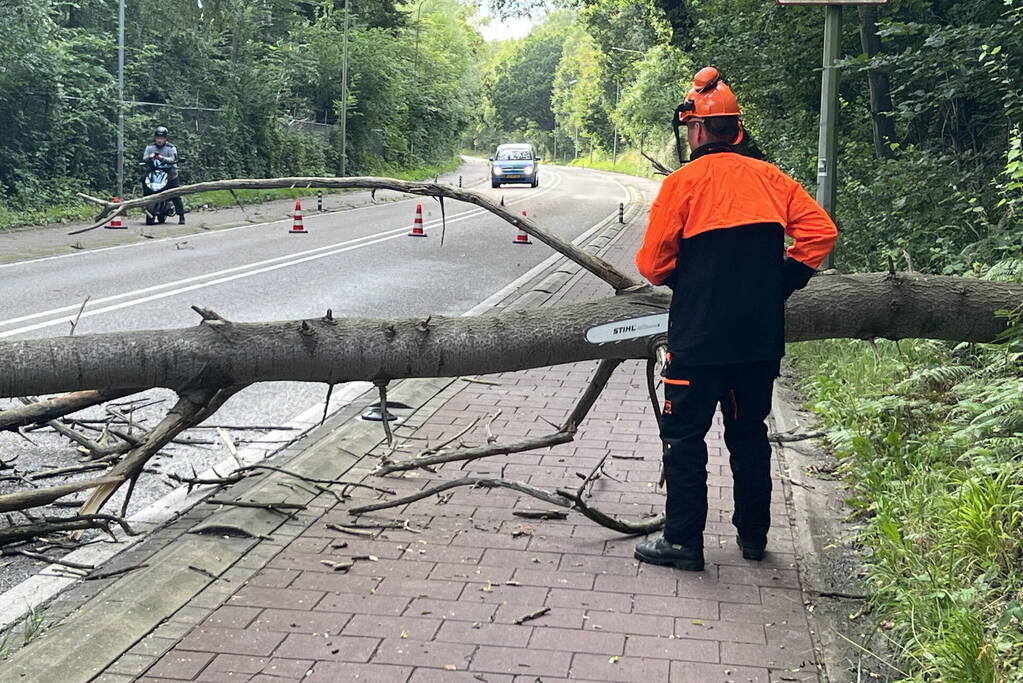 Omgevallen boom blokkeert de weg