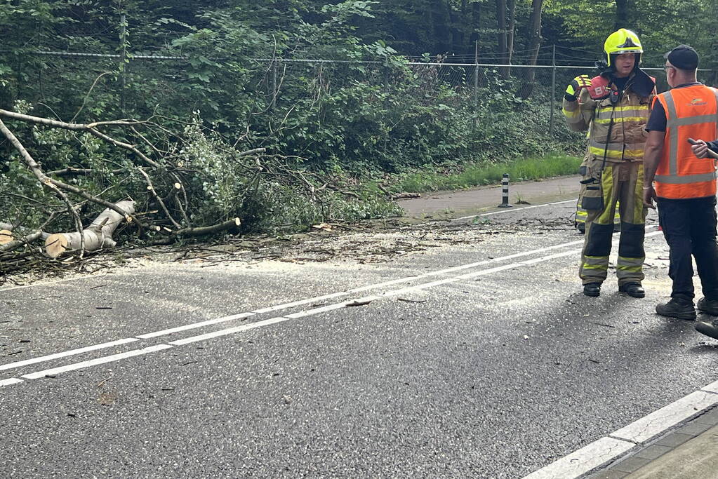 Omgevallen boom blokkeert de weg