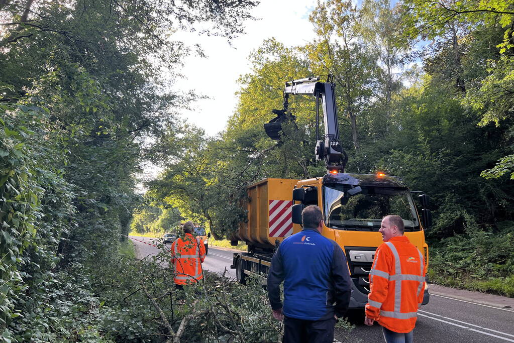 Omgevallen boom blokkeert de weg