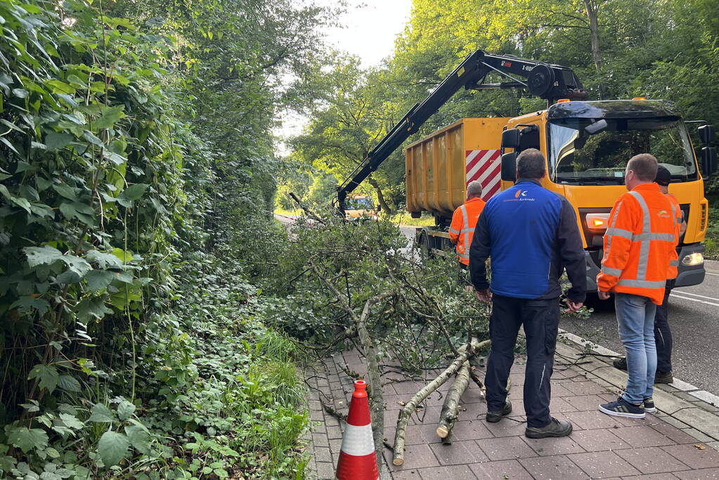 Omgevallen boom blokkeert de weg