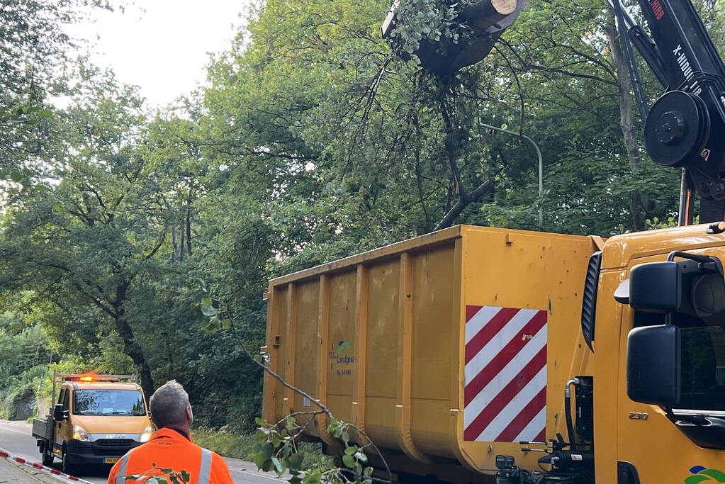 Omgevallen boom blokkeert de weg