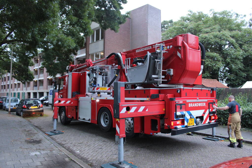 Brandweer redt kat uit boom