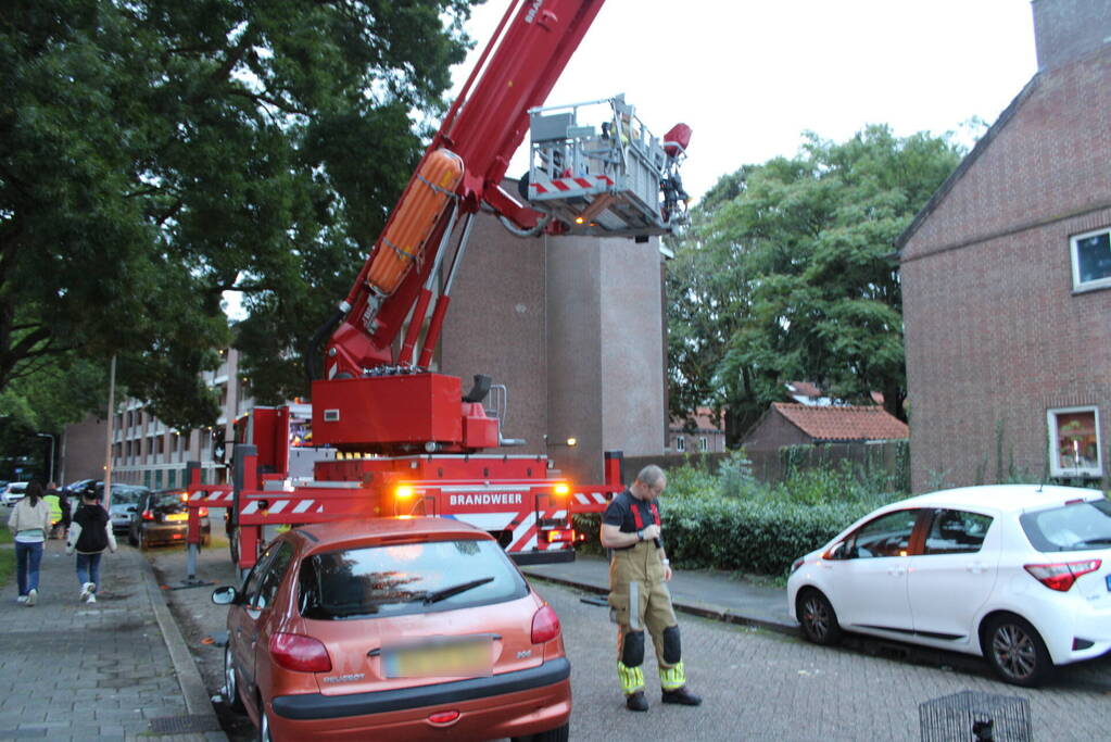 Brandweer redt kat uit boom