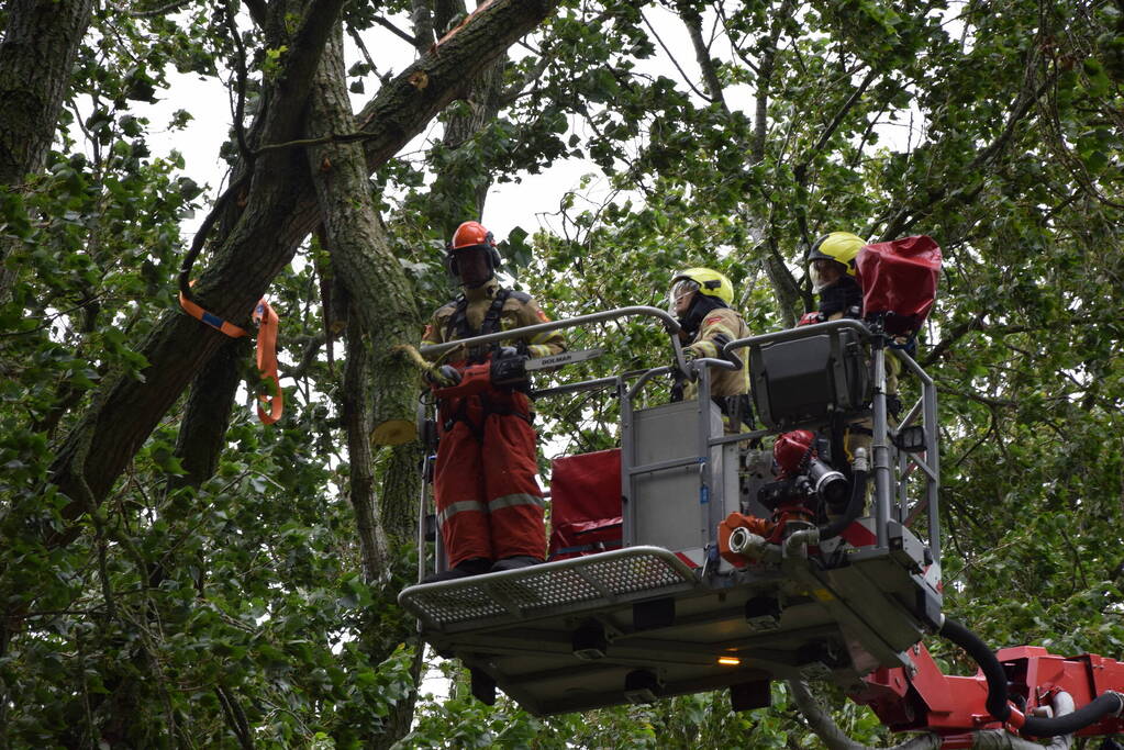 Brandweer ingezet voor afgebroken boom