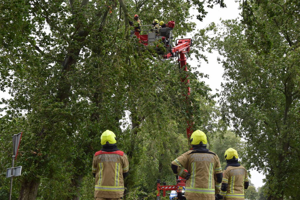 Brandweer ingezet voor afgebroken boom