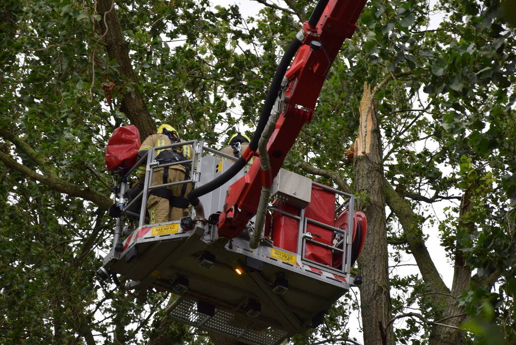 Brandweer ingezet voor afgebroken boom